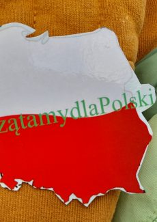 Dyplom za zbiórkę Góra Grosza